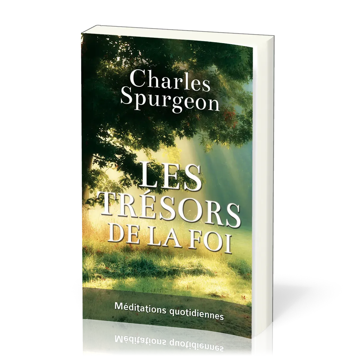 Trésors de la foi (Les)