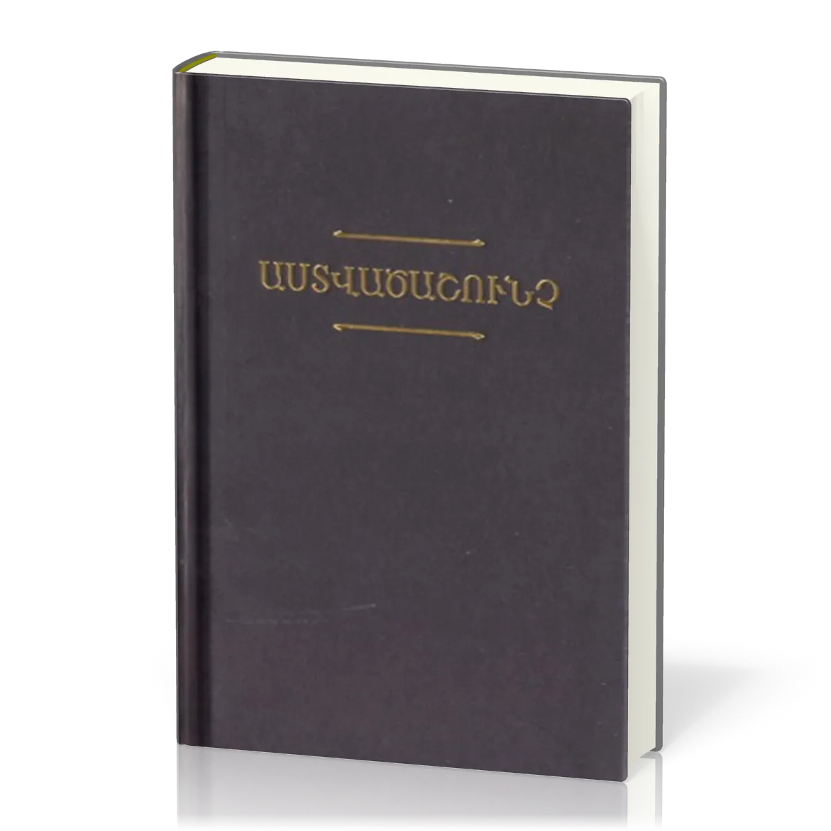 Armenisch Ost, Bibel, kartonniert schwarz