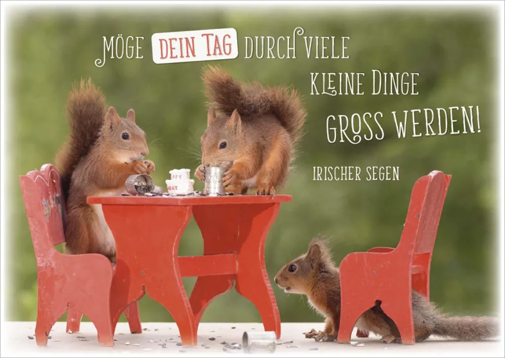 Postkarten Gottes guten Segen - Eichhörnchen
