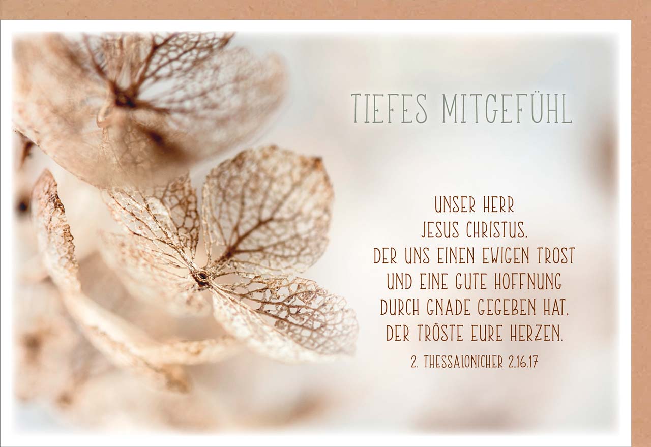 Unser Aufrichtiges Beileid Und Tiefes Mitgefühl maisonbible.fr