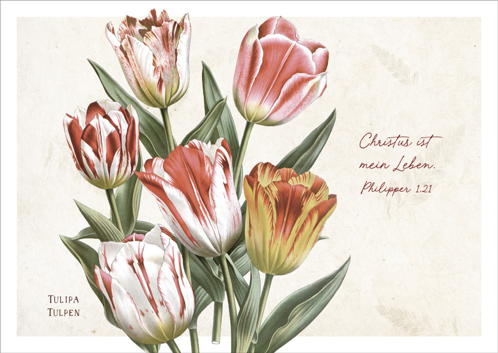 Postkarte Christus ist Leben - Tulpen