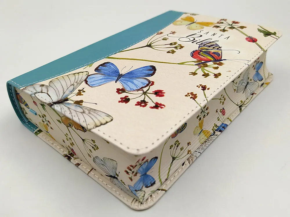 Espagnol, Bible Reina Valera 2020, compact, gros caractères, Collection Printemps vert d'eau,...