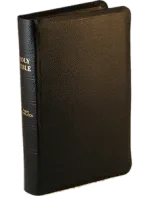 Englisch, Bibel Darby, Leder, schwarz, Goldschnitt