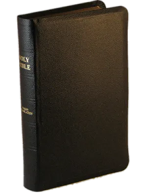 Englisch, Bibel Darby, Leder, schwarz, Goldschnitt