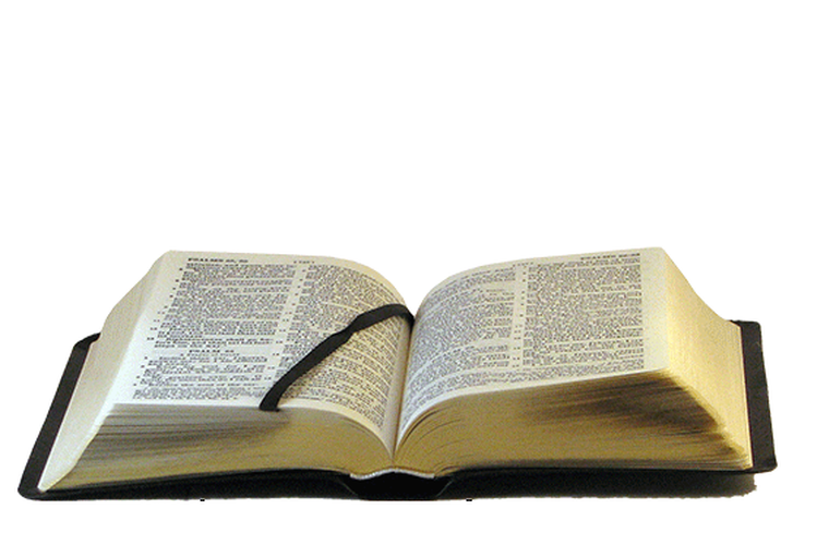 Anglais, Bible Darby, cuir, noir, tranche or