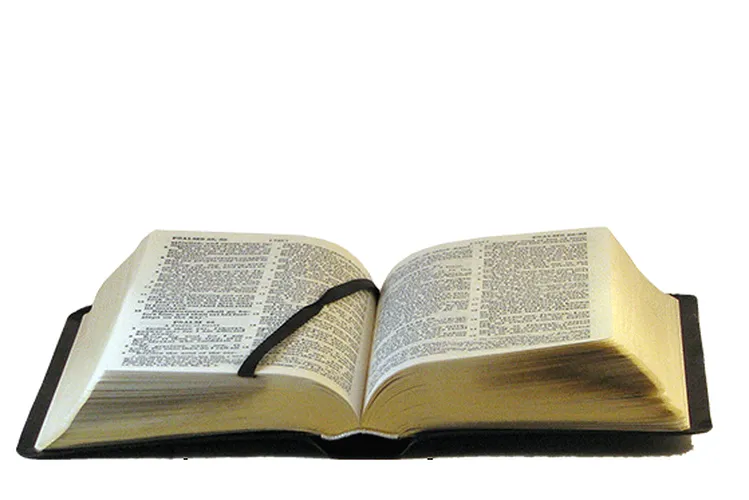 Englisch, Bibel Darby, Leder, schwarz, Goldschnitt