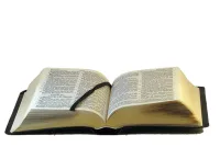 Englisch, Bibel Darby, Leder, schwarz, Goldschnitt