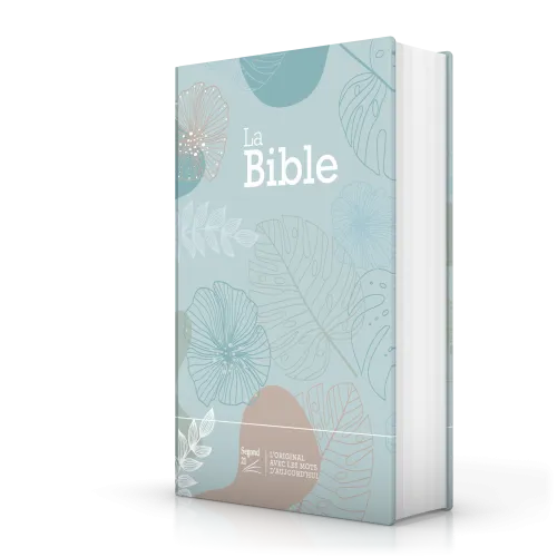 Bible Segond 21 compacte (Premium Style) - couverture rigide, toilée matelassée, vert d'eau