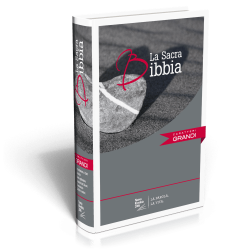 Italien, Bible NR2006 Grossdruck - Illustrierter Hardcover - Grauer Hintergrund mit Stein