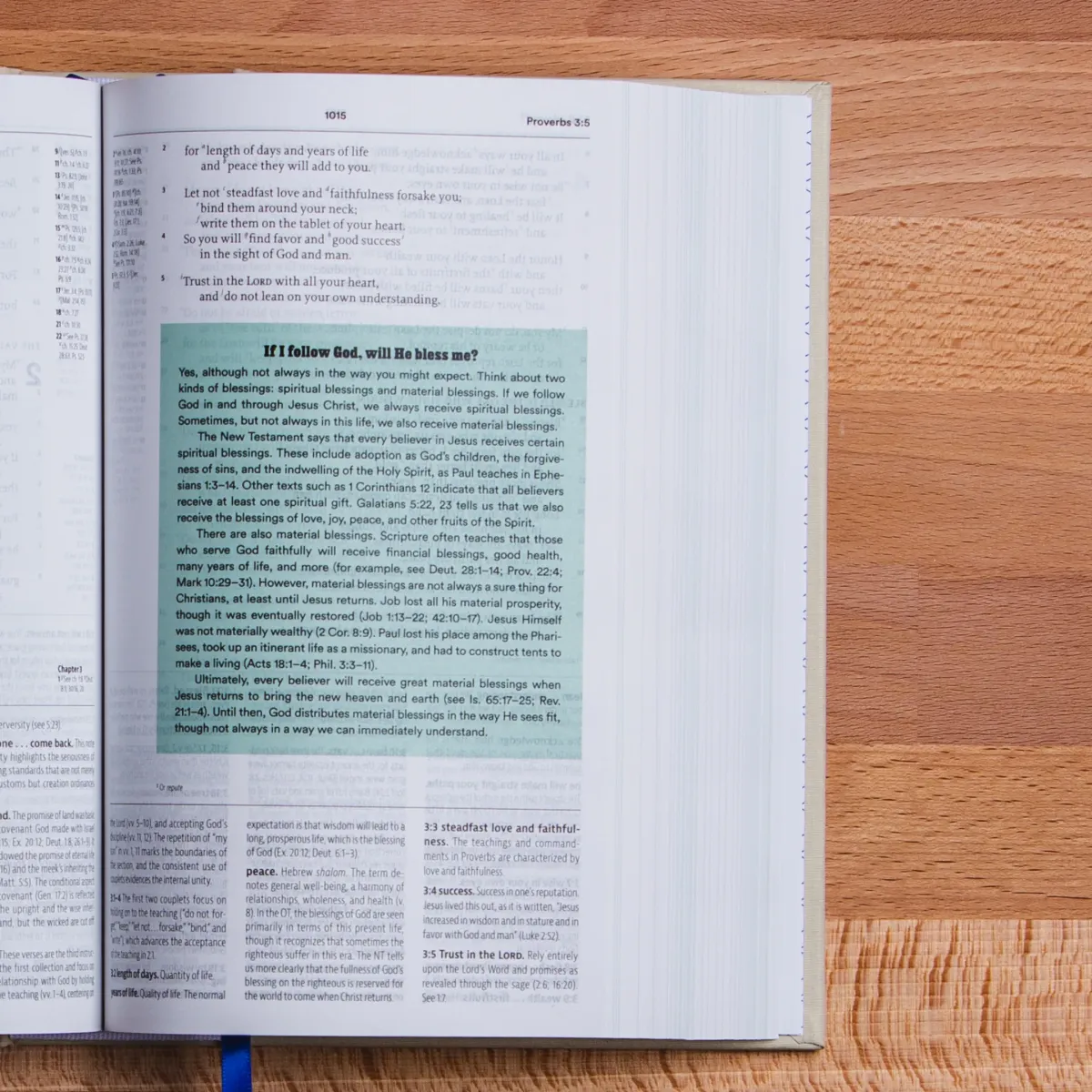 Englisch, reformierte Studienbibel English Standard Version, broschiert, grau