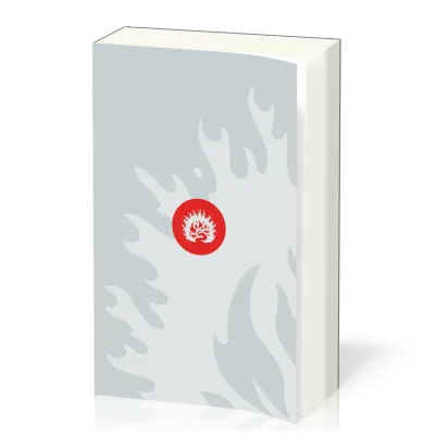 Englisch, reformierte Studienbibel English Standard Version, broschiert, grau