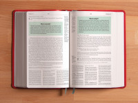 Englisch, reformierte Studienbibel English Standard Version, broschiert, grau