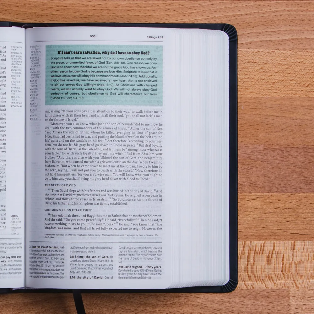 Englisch, reformierte Studienbibel English Standard Version, kartonniert mit Stoff, blau