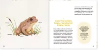 Theologie für Kinder Theologie für Kinder