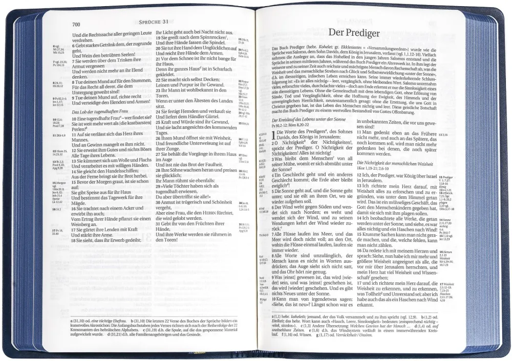 Schlachter 2000, Taschenausgabe mit Parallelstellen, PU-Einband sandfarben, blauer Farbschnitt,... Schlachter 2000, Taschenausgabe mit Parallelstellen, PU-Einband sandfarben, blauer Farbschnitt,...