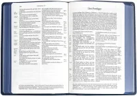 Schlachter 2000, Taschenausgabe mit Parallelstellen, PU-Einband sandfarben, blauer Farbschnitt,... Schlachter 2000, Taschenausgabe mit Parallelstellen, PU-Einband sandfarben, blauer Farbschnitt,...