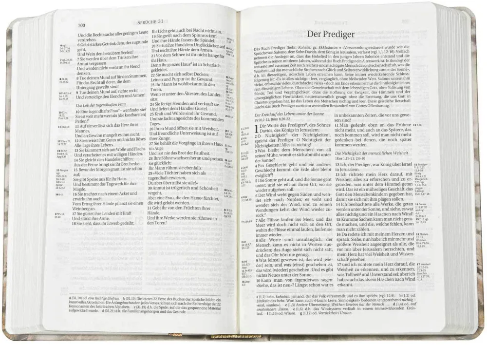 Schlachter 2000, Taschenausgabe mit Parallelstellen, farbiger Einband »Pampasgras«, Fadenheftung Schlachter 2000, Taschenausgabe mit Parallelstellen, farbiger Einband »Pampasgras«, Fadenheftung