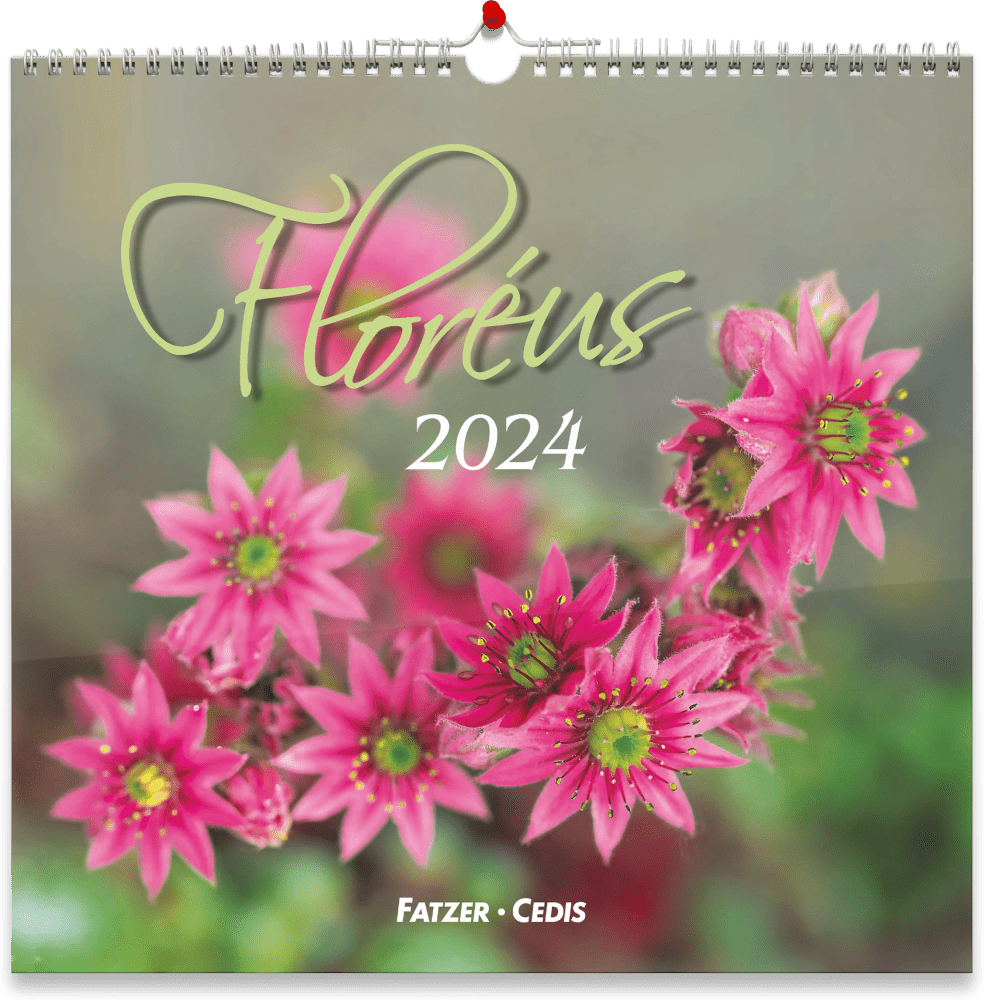 Calendrier mensuel 2024 Calendrier mural illustré 2024 Calendrier 2024,  Fleurs des champs -  France