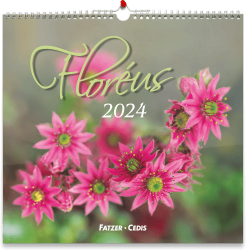 Achetez le plus beau calendrier 2024 de Bible Verses dans notre