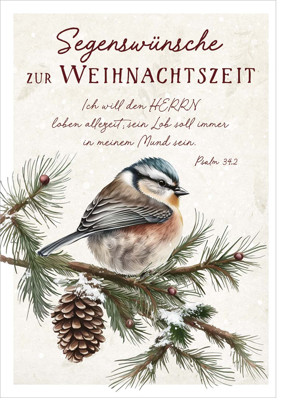 Postkarte Weihnachten Vogel auf Zweig