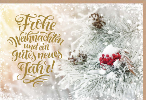 Faltkarte Weihnachten Schneebedeckter Zweig mit Beeren