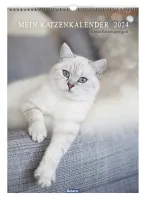 Kalender Mein Katzenkalender - Posterkalender Kalender Mein Katzenkalender - Posterkalender