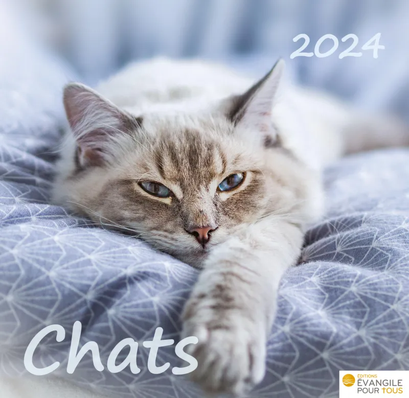 Acheter le calendrier des chats 2024 ? Œuvre d'art de Lowell