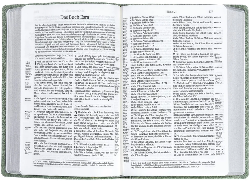 Schlachter 2000, Taschenausgabe mit Parallelstellen, PU-Einband oliv, grauer Farbschnitt,... Schlachter 2000, Taschenausgabe mit Parallelstellen, PU-Einband oliv, grauer Farbschnitt,...