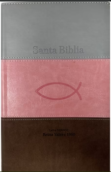 Espagnol, Bible Reina Valera 1960, gros caractères, couverture tricolore rose/blanc/marron