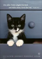 Kalender Mein Katzenkalender - Posterkalender Kalender Mein Katzenkalender - Posterkalender