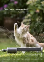 Kalender Mein Katzenkalender - Posterkalender Kalender Mein Katzenkalender - Posterkalender