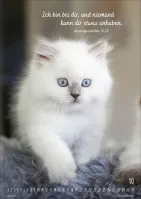 Kalender Mein Katzenkalender - Posterkalender Kalender Mein Katzenkalender - Posterkalender