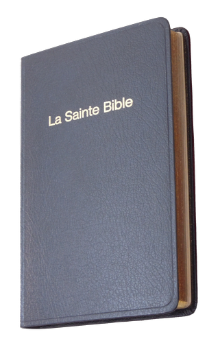 Bible Darby, poche, noire - couverture skyvertex