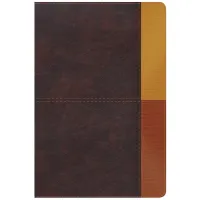 Espagnol, Bible d'étude Reina Valera 1960, similicuir, cacao/terre cuite