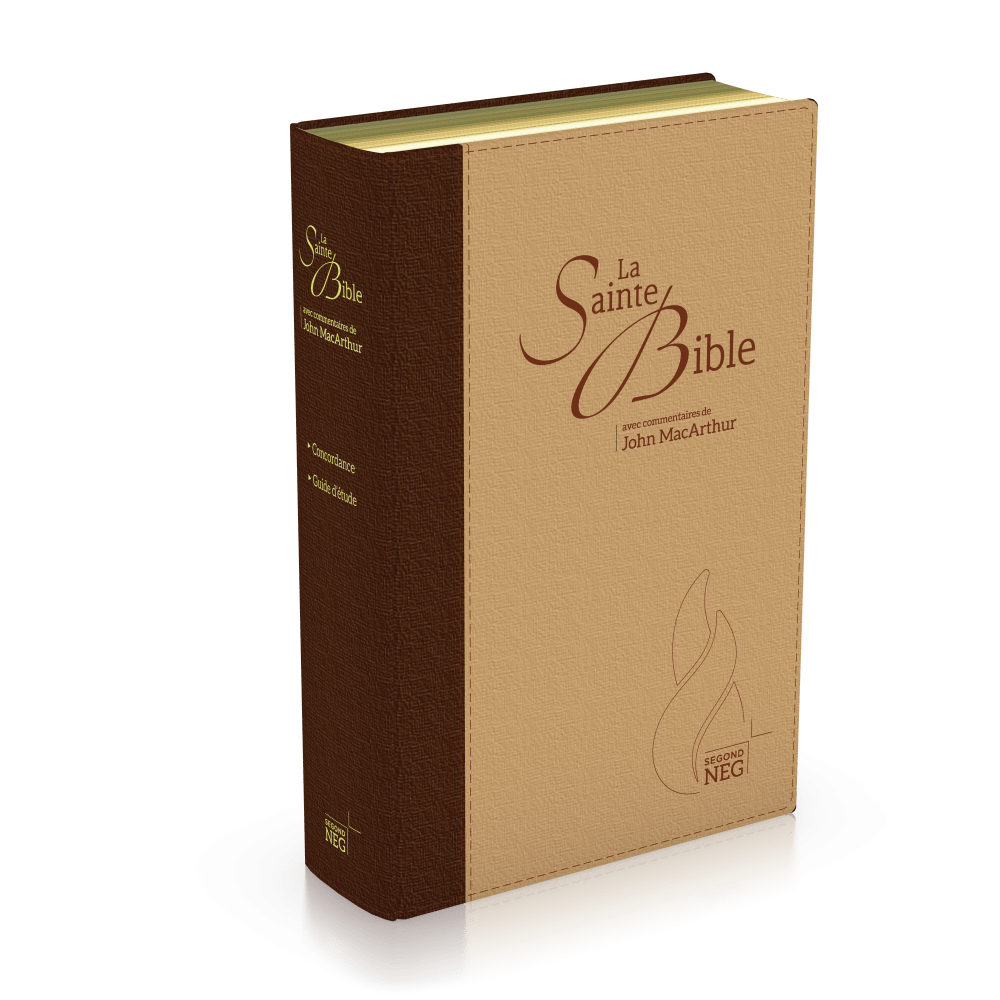 Bibel NEG MacArthur - Biegsames Leinen, Goldschnitt, braun/beige