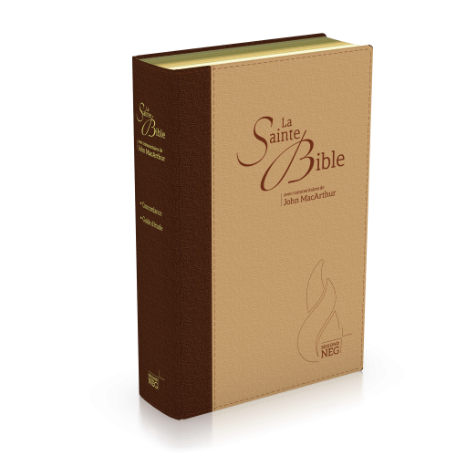 Bibel NEG MacArthur - Biegsames Leinen, Goldschnitt, braun/beige