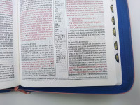 Espagnol, Bible Reina Valera 1960, gros caractères, ultrafine, similicuir, fermeture éclair