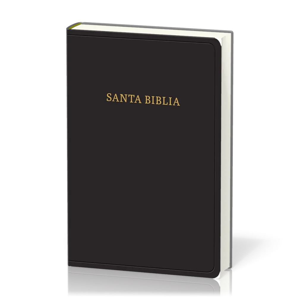Spanisch, Bible Reina Valera 1960, Grossdruck, Fibroleder, schwarz