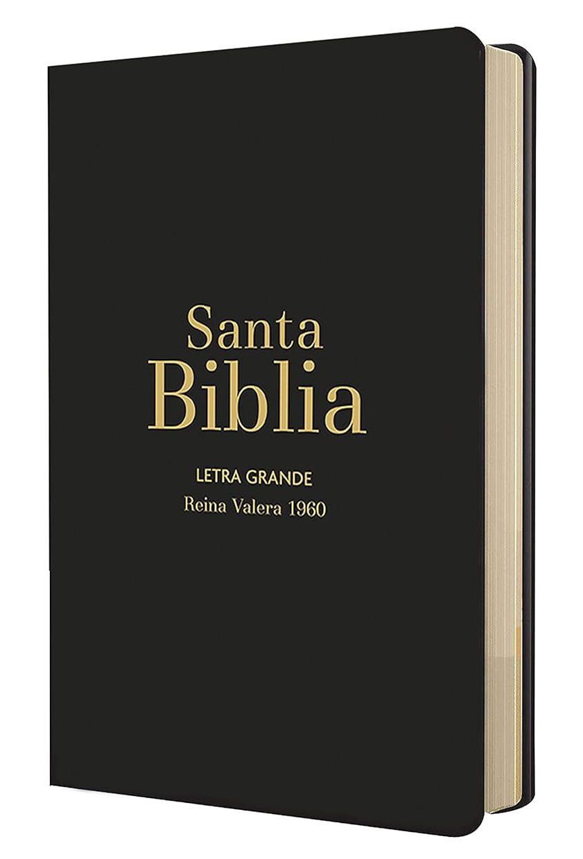 Spanisch, Bibel Reina Valera 1960, Grossdruck, broschiert, schwarz