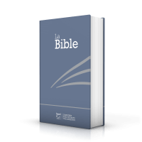 Bible Segond 21 französisch kompakt - Hardcover Skivertex metalblau