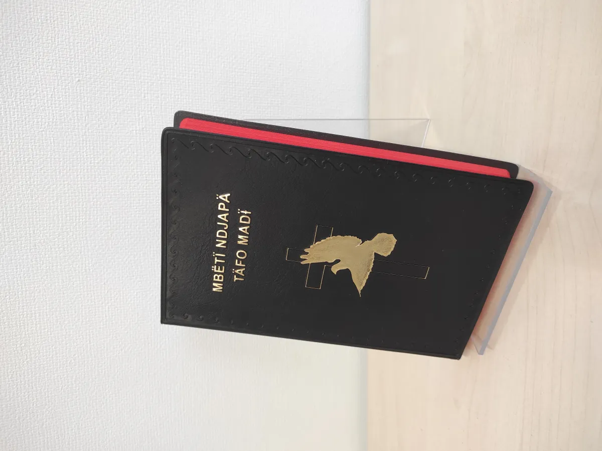 Ngbugu Nouveau Testament (République Centrafricaine)