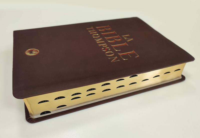 Bible Thompson Colombe de luxe, marron - couverture souple, tranche or