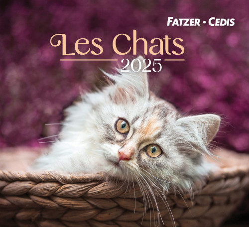 Chats (Les) - Petit calendrier avec 12 belles photos de chats