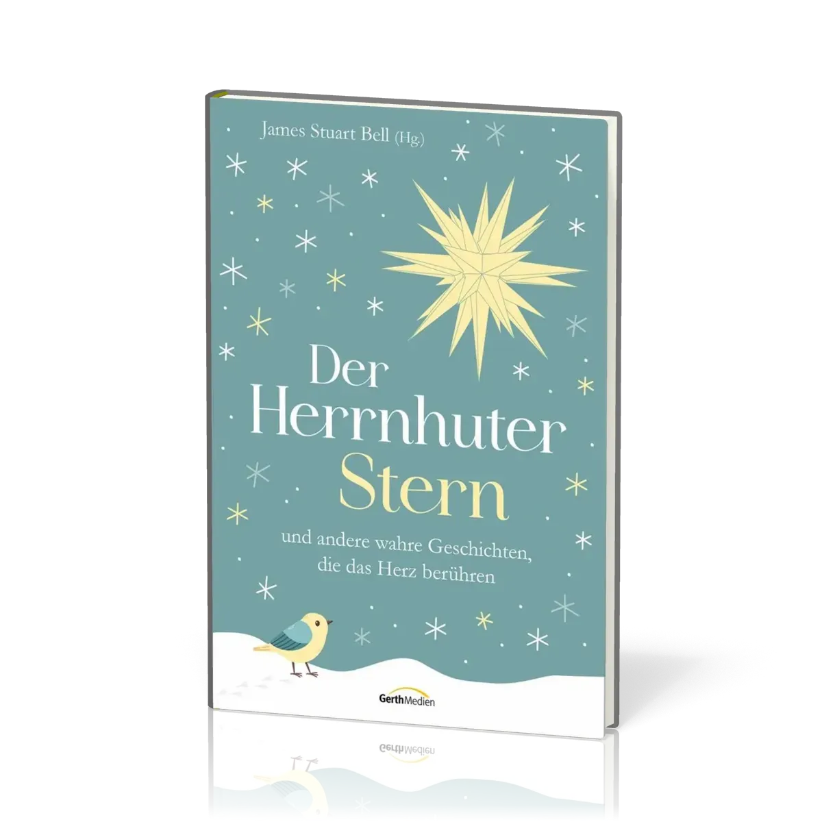 Der Herrnhuter Stern - und andere wahre Geschichten, die das Herz berühren