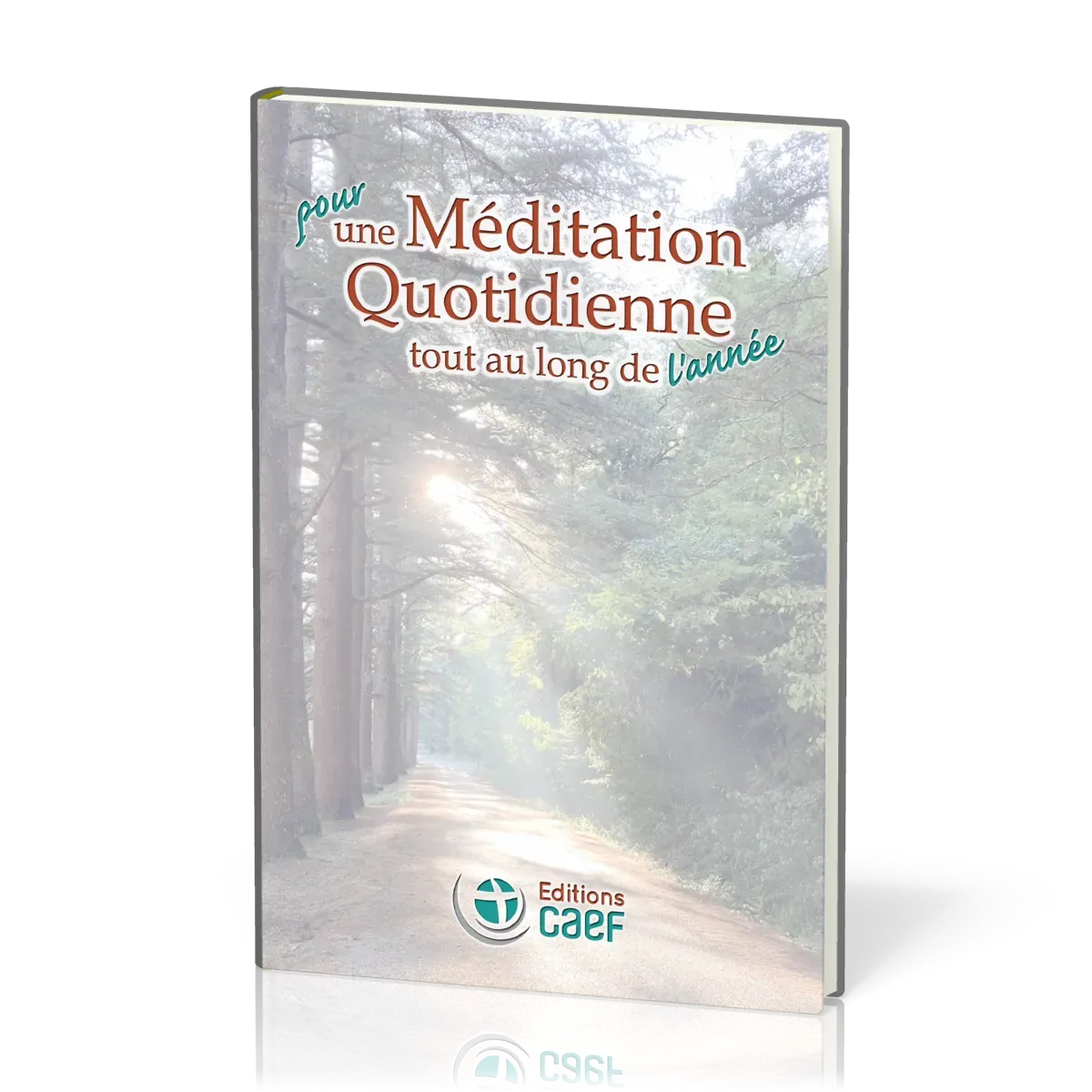 Pour une méditation quotidienne tout au long de l'année