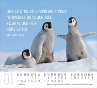 Rencontres - Mini calendrier de table