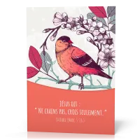 Ne crains pas, crois seulement - Marc 5.36 - Affiche / Poster