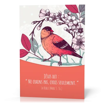 Ne crains pas, crois seulement - Marc 5.36 - Affiche / Poster