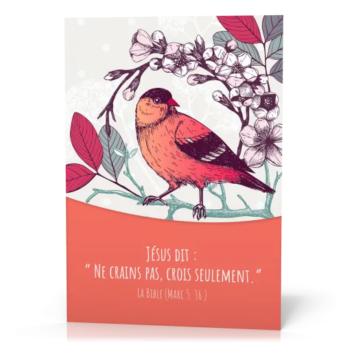 Ne crains pas, crois seulement - Marc 5.36 - Affiche / Poster