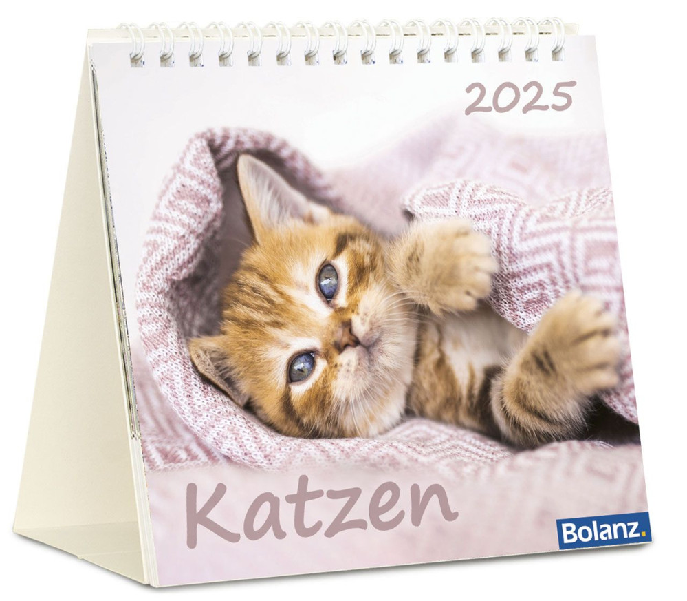 Kalender Katzen Wunderbare Schöpfung - Tischkalender